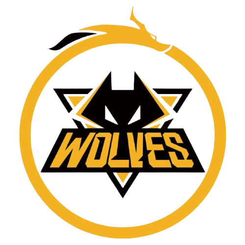 力与挑战 力与挑战