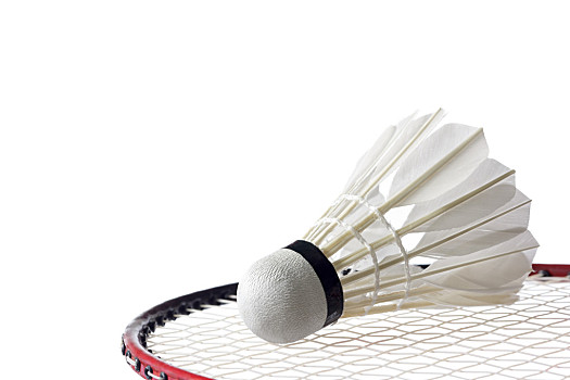 在球员资产 在球员资产