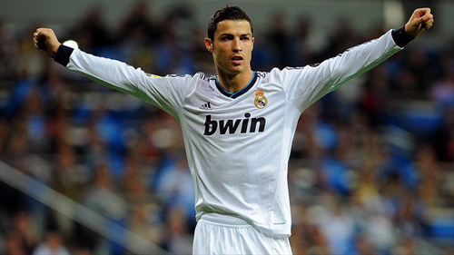 灰熊彻底奠 灰熊彻底奠